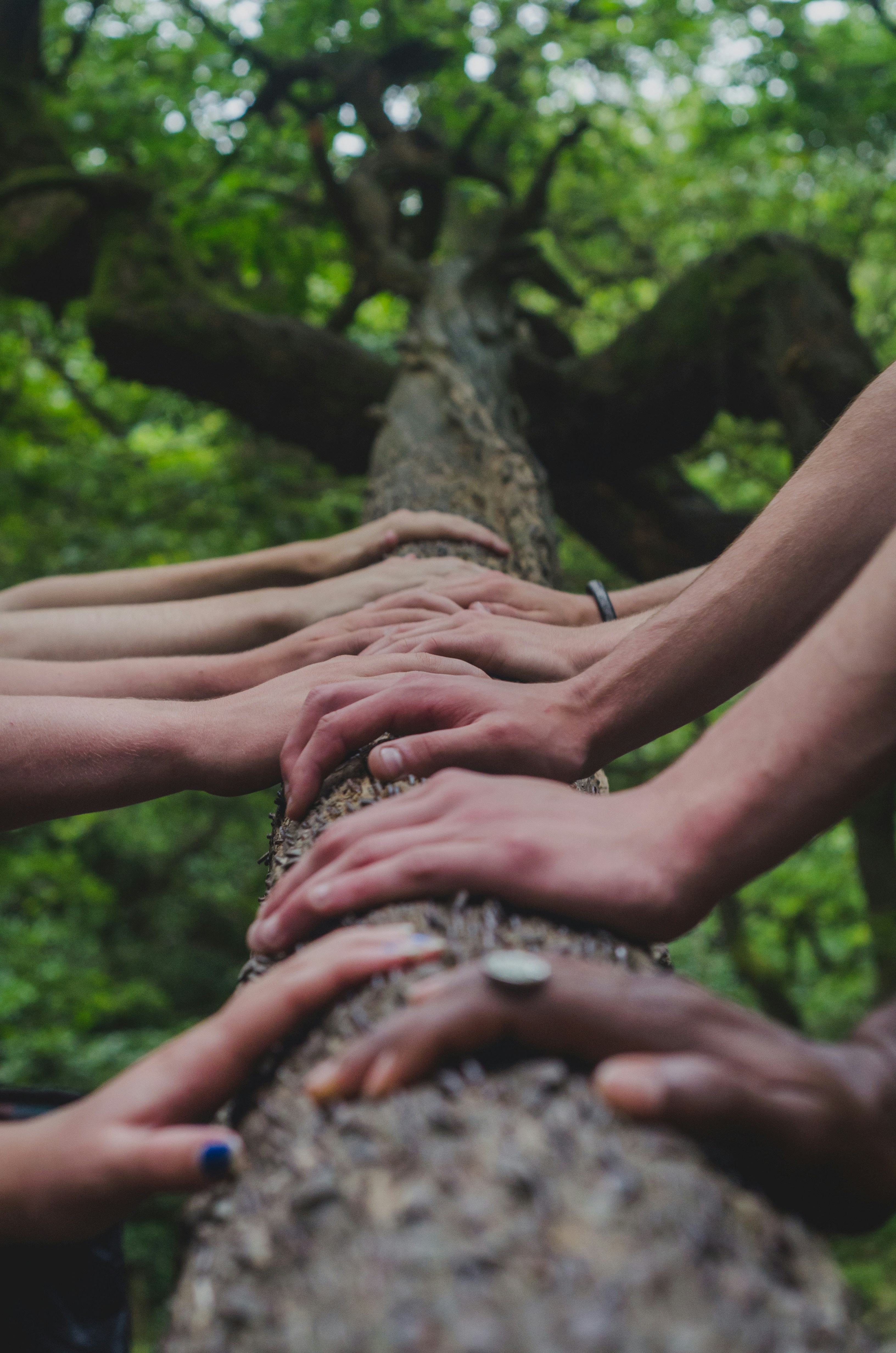Healing circle facilitator